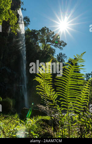 Schönen Wasserfall mit Sun Star und im Grünen in Südafrika erfasst Stockfoto