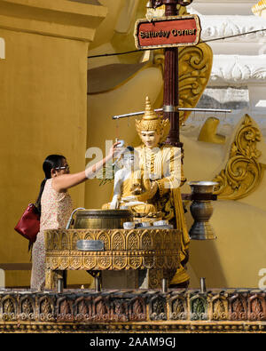 Eine buddhistische worshipper gießt Wasser über Buddha und auf das Tier zu Ihrem Tag der Geburt verknüpft (Samstag, wie das Zeichen über die Statuen liest). Stockfoto