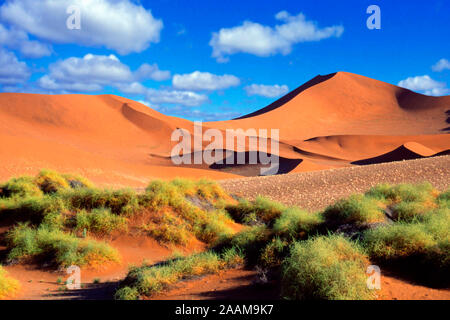 Sandduene - Sossusvlei - Namib Naukluft Nationalpark Stockfoto