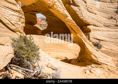 Alkoven in North Coyote Butte auf dem Kaibab Plateau. Wind getragen hat ein Loch in den Sandstein und erstellt ein Fenster mit Blick auf die Wüste von Arizona. Stockfoto