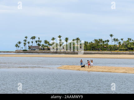 Ein Mann und seine Familie spielen mit Ihrem Hund an einem Sandstrand. Porto Seguro, Bahia, Brasilien, Südamerika. Stockfoto