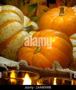Thanksgiving Day, Herbst Thanksgiving und Halloween Kürbisse, verlässt. Stockfoto
