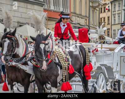 Coachwoman und ihrem Pferd gezogenen fiaker Beförderung warten auf die Flugpreise auf dem Hauptplatz in der Altstadt von Krakau, Kleinpolen, Polen Stockfoto