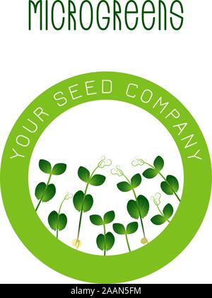 Microgreens Erbse. Saatgut Verpackungsdesign, rundes Element in der Mitte. Vitamin Supplement, veganes Essen Stock Vektor