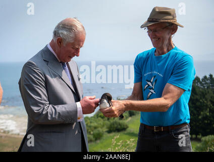 Der Prinz von Wales trifft ein Hutton shearwater Vogel mit Ted Howard, Vorsitzender des Hutton Shearwater Charitable Trust, bei einem Besuch in Hutton's shearwater Kolonie in Kaikoura, am siebten Tag des königlichen Besuch in Neuseeland. PA-Foto. Bild Datum: Samstag, November 23, 2019. Siehe PA Geschichte royals Charles. Photo Credit: XXXX/PA-Kabel Stockfoto