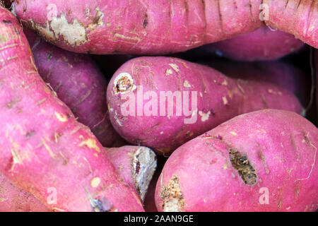 Detail der frische organische Süßkartoffeln Stockfoto