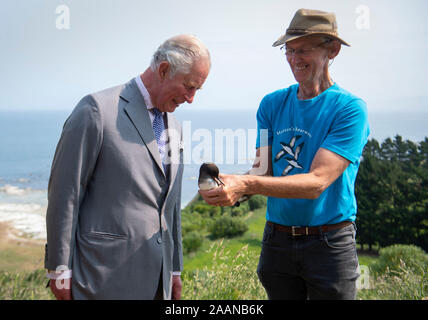 Der Prinz von Wales trifft ein Hutton shearwater Vogel mit Ted Howard, Vorsitzender des Hutton Shearwater Charitable Trust, bei einem Besuch in Hutton's shearwater Kolonie in Kaikoura, am siebten Tag des königlichen Besuch in Neuseeland. Stockfoto