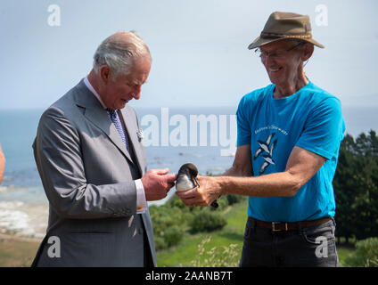 Der Prinz von Wales trifft ein Hutton shearwater Vogel mit Ted Howard, Vorsitzender des Hutton Shearwater Charitable Trust, bei einem Besuch in Hutton's shearwater Kolonie in Kaikoura, am siebten Tag des königlichen Besuch in Neuseeland. Stockfoto