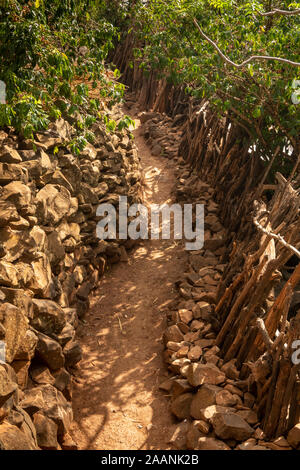 Äthiopien, Carat-Konso, Gamole Stadtmauer umgebenen Dorf, Pfad Wicklung zwischen Haus Verbindungen Stockfoto