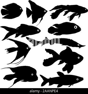 Schwarzer Silhouette der Aquarienfische auf weißem Hintergrund. Stock Vektor