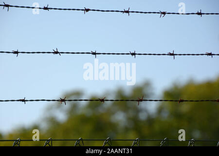 Nahaufnahme der Stacheldrahtzaun, Sicherheit Stacheldraht Stockfoto