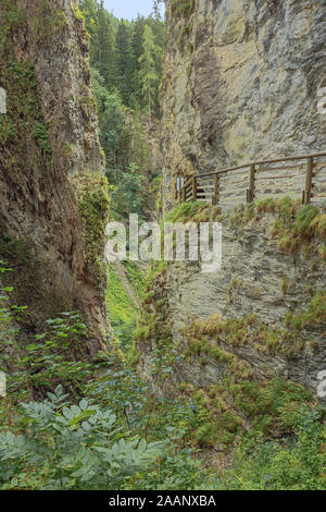 Auf der Suche durch das Laub in die Kitzlochklamm, eine tiefe Schlucht in der Nähe von Zell am See Stockfoto