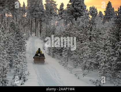 Finnland, Inari - Januar 2019: Schneemobil ziehen mit einem Anhänger voller Urlauber auf einer Tour der Arktis Wälder unter einem orange Sonnenuntergang Himmel Stockfoto