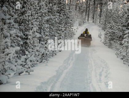 Finnland, Inari - Januar 2019: Schneemobil ziehen mit einem Anhänger voller Urlauber auf einer Tour der Arktis Wälder unter einem orange Sonnenuntergang Himmel Stockfoto