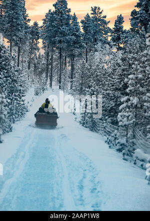 Finnland, Inari - Januar 2019: Schneemobil ziehen mit einem Anhänger voller Urlauber auf einer Tour der Arktis Wälder unter einem orange Sonnenuntergang Himmel Stockfoto