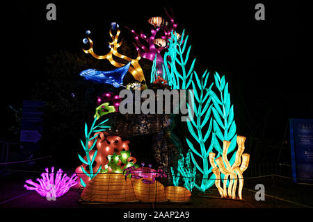 Paris, Frankreich. 22 Nov, 2019. 'Ozean auf dem Weg zur Erleuchtung", Festival der Lichter von Jardin des Plantes in Paris, Frankreich. Stockfoto