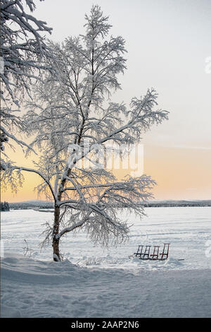 Finnland, See Menesjarvi - Januar 2019: Gruppe von Schlitten sitze auf gefrorenem See unter einem großen Schnee beladenen Baum Stockfoto