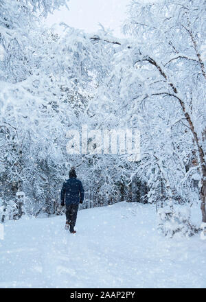 Finnland, See Menesjarvi - Januar 2019: Der Mann, der zu Fuß entlang Waldweg bei Schneewetter Stockfoto