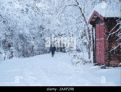 Finnland, See Menesjarvi - Januar 2019: Der Mann, der zu Fuß entlang Waldweg bei Schneewetter Stockfoto