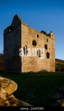 Die Ruinen von Newark Castle, Selkirkshire in den Scottish Borders Stockfoto