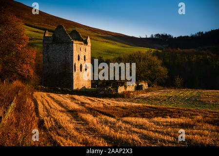 Die Ruinen von Newark Castle, Selkirkshire in den Scottish Borders Stockfoto