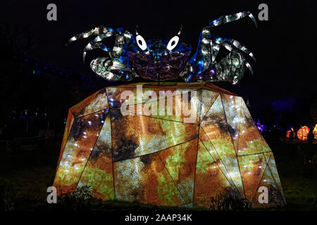 Paris, Frankreich. 22 Nov, 2019. 'Ozean auf dem Weg zur Erleuchtung", Festival der Lichter von Jardin des Plantes in Paris, Frankreich. Stockfoto