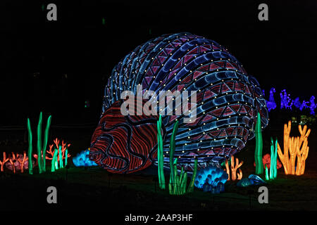 Paris, Frankreich. 22 Nov, 2019. 'Ozean auf dem Weg zur Erleuchtung", Festival der Lichter von Jardin des Plantes in Paris, Frankreich. Stockfoto