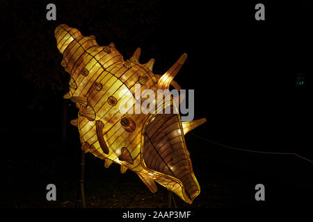 Paris, Frankreich. 22 Nov, 2019. 'Ozean auf dem Weg zur Erleuchtung", Festival der Lichter von Jardin des Plantes in Paris, Frankreich. Stockfoto