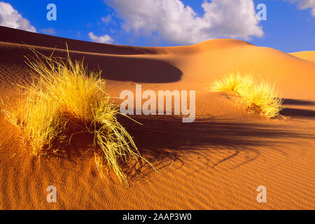 Landschaft im Sossusvlei - Namibia Stockfoto