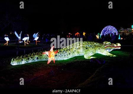 Paris, Frankreich. 22 Nov, 2019. 'Ozean auf dem Weg zur Erleuchtung", Festival der Lichter von Jardin des Plantes in Paris, Frankreich. Stockfoto