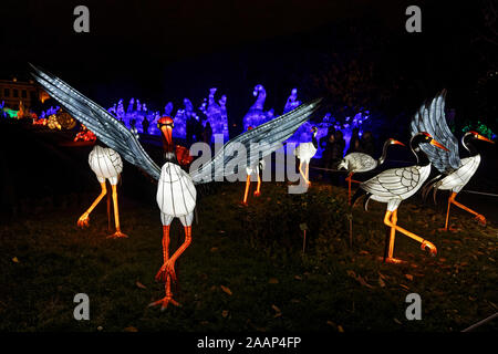 Paris, Frankreich. 22 Nov, 2019. 'Ozean auf dem Weg zur Erleuchtung", Festival der Lichter von Jardin des Plantes in Paris, Frankreich. Stockfoto