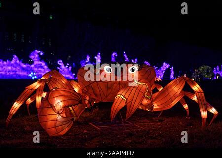 Paris, Frankreich. 22 Nov, 2019. 'Ozean auf dem Weg zur Erleuchtung", Festival der Lichter von Jardin des Plantes in Paris, Frankreich. Stockfoto