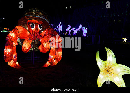 Paris, Frankreich. 22 Nov, 2019. 'Ozean auf dem Weg zur Erleuchtung", Festival der Lichter von Jardin des Plantes in Paris, Frankreich. Stockfoto
