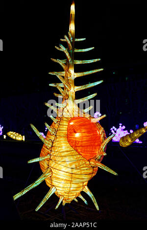 Paris, Frankreich. 22 Nov, 2019. 'Ozean auf dem Weg zur Erleuchtung", Festival der Lichter von Jardin des Plantes in Paris, Frankreich. Stockfoto
