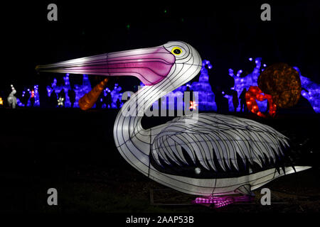 Paris, Frankreich. 22 Nov, 2019. 'Ozean auf dem Weg zur Erleuchtung", Festival der Lichter von Jardin des Plantes in Paris, Frankreich. Stockfoto