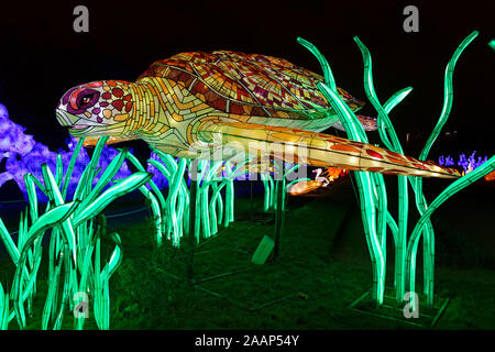 Paris, Frankreich. 22 Nov, 2019. 'Ozean auf dem Weg zur Erleuchtung", Festival der Lichter von Jardin des Plantes in Paris, Frankreich. Stockfoto