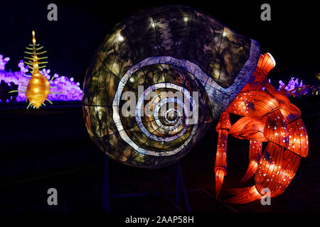 Paris, Frankreich. 22 Nov, 2019. 'Ozean auf dem Weg zur Erleuchtung", Festival der Lichter von Jardin des Plantes in Paris, Frankreich. Stockfoto