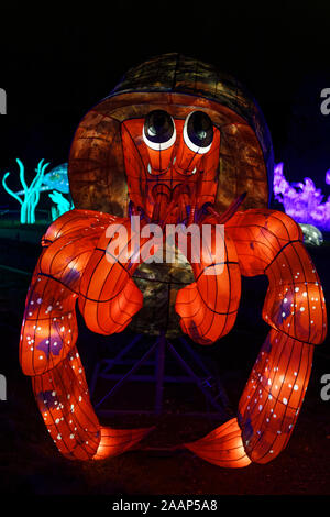 Paris, Frankreich. 22 Nov, 2019. 'Ozean auf dem Weg zur Erleuchtung", Festival der Lichter von Jardin des Plantes in Paris, Frankreich. Stockfoto