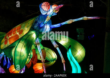 Paris, Frankreich. 22 Nov, 2019. 'Ozean auf dem Weg zur Erleuchtung", Festival der Lichter von Jardin des Plantes in Paris, Frankreich. Stockfoto