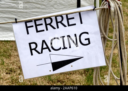 Ein Frettchen Racing Schild am Selwood Vintage Steam Fair 2019, Wiltshire, England Stockfoto