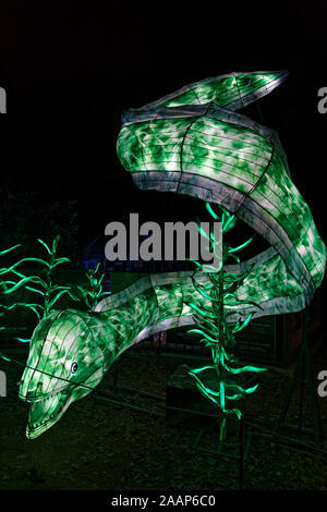 Paris, Frankreich. 22 Nov, 2019. 'Ozean auf dem Weg zur Erleuchtung", Festival der Lichter von Jardin des Plantes in Paris, Frankreich. Stockfoto