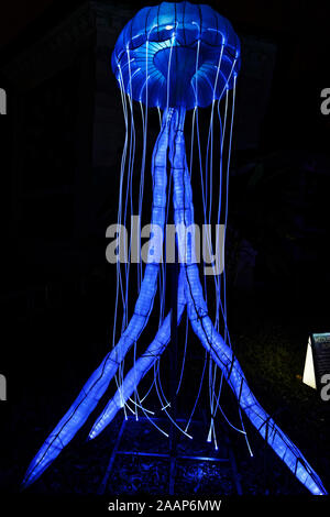 Paris, Frankreich. 22 Nov, 2019. 'Ozean auf dem Weg zur Erleuchtung", Festival der Lichter von Jardin des Plantes in Paris, Frankreich. Stockfoto