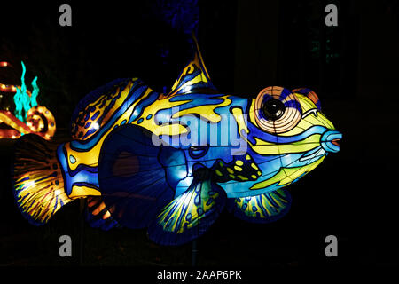 Paris, Frankreich. 22 Nov, 2019. 'Ozean auf dem Weg zur Erleuchtung", Festival der Lichter von Jardin des Plantes in Paris, Frankreich. Stockfoto