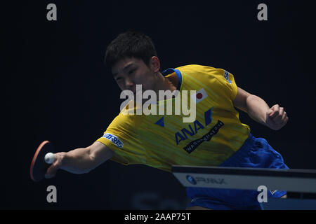 Tampines entfernt. 23 Nov, 2019. Tomokazu Harimoto (JPN), Nov 23, 2019 - Tischtennis: Match 23 - Koki Niwa (JPN) vs Tomokazu Harimoto (JPN) an T2 Diamond 2019 Singapur in Tampines entfernt. Credit: haruhiko Otsuka/LBA/Alamy leben Nachrichten Stockfoto