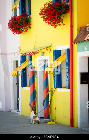 Die Häuser der Fischer in Burano - Venedig Stockfoto