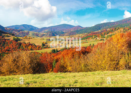 Die schöne Landschaft der Karpaten Gebirge. sonniges Wetter mit flauschigen Wolken am Himmel. erstaunlich lebendige Natur Landschaft mit Bäumen im buntes Laub Stockfoto