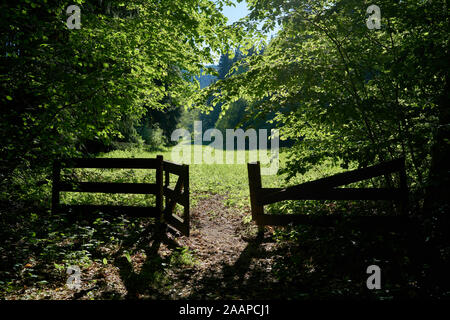 Tor und Wiese auf einem Wanderweg in der Nähe von Friedrichsroda im Thüringer Wald Stockfoto