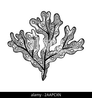 Vector Illustration von Hand gezeichnet Fucus Algen. Färbung Seite Buch - zendala Für Entspannung und Meditation Stock Vektor