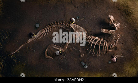 Dinosaurier Fossil (Tyrannosaurus Rex) gefunden von Archäologen Stockfoto