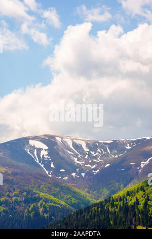 Berg hymba Landschaft im Frühling. Ein Teil der borschawa Grat der Ukrainischen Karpaten in Transkarpatien befindet. Gipfel mit Spots der Wald im Schnee. Stockfoto